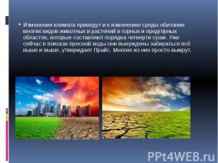 Изменения климата приведут и к изменению среды обитания многих видов животных и