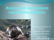 Животный мир Байкала