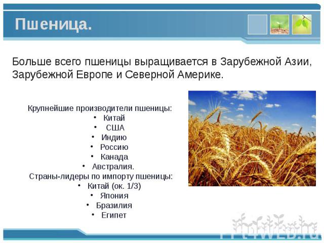 Больше всего пшеницы выращивается в Зарубежной Азии, Зарубежной Европе и Северной Америке. Больше всего пшеницы выращивается в Зарубежной Азии, Зарубежной Европе и Северной Америке.
