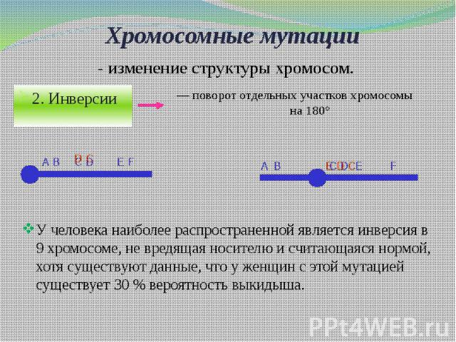 Хромосомные мутации