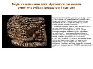 Мода из каменного века: Археологи раскопали сумочку с зубами возрастом 4 тыс. ле