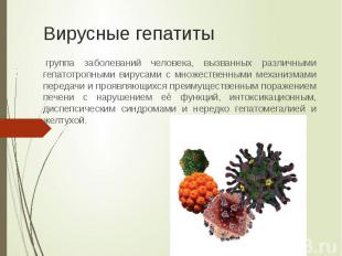 Вирусные гепатиты &nbsp;группа заболеваний человека, вызванных различными гепато