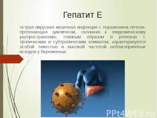 Гепатит Е острая вирусная кишечная инфекция с поражением печени, протекающая цик