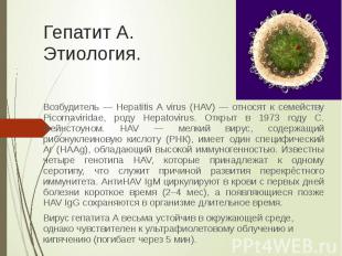 Гепатит А. Этиология. Возбудитель — Hepatitis A virus (HAV) — относят к семейств