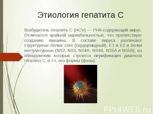 Этиология гепатита С Возбудитель гепатита C (HCV) — РНК-содержащий вирус. Отлича