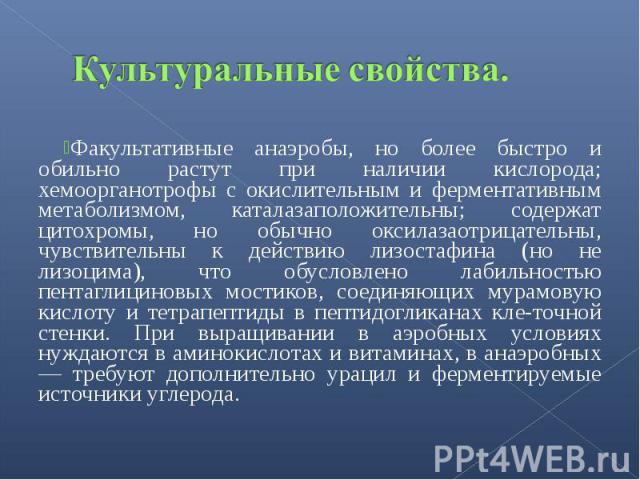 Факультативные анаэробы, но более быстро и обильно растут при наличии кислорода; хемоорганотрофы с окислительным и ферментативным метаболизмом, каталазаположительны; содержат цитохромы, но обычно оксилазаотрицательны, чувствительны к действию лизост…