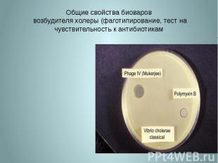 Общие свойства биоваров возбудителя холеры (фаготипирование, тест на чувствитель
