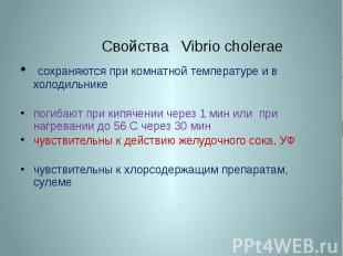Свойства Vibrio cholerae сохраняются при комнатной температуре и в холодильнике