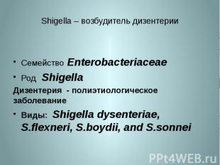 Shigella – возбудитель дизентерии Семейство Enterobacteriaceae Род Shigella Дизе