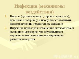 Инфекция (механизмы воздействия) Вирусы (цитомегалвирус, герпеса, краснухи), про