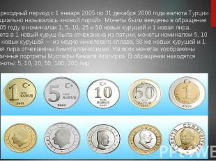 В переходный период с 1 января 2005 по 31 декабря 2008 года валюта Турции официа