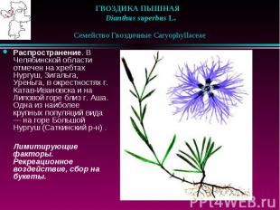 ГВОЗДИКА ПЫШНАЯ &nbsp;&nbsp; Dianthus superbus L. &nbsp;&nbsp; Семейство Гвоздич