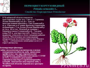 ПЕРВОЦВЕТ КОРТУЗОВИДНЫЙ &nbsp;&nbsp; Primula cortusoides L. &nbsp;&nbsp; Семейст