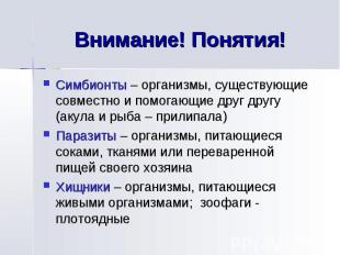 Внимание! Понятия! Симбионты – организмы, существующие совместно и помогающие др