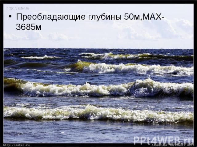 Преобладающие глубины 50м,МАХ-3685м Преобладающие глубины 50м,МАХ-3685м