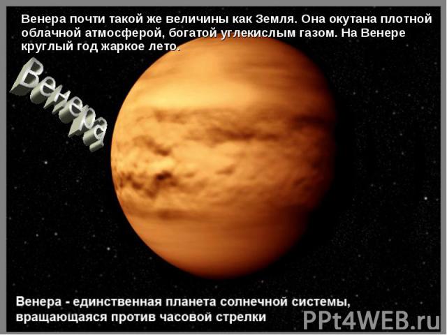 Венера почти такой же величины как Земля. Она окутана плотной облачной атмосферой, богатой углекислым газом. На Венере круглый год жаркое лето. Венера почти такой же величины как Земля. Она окутана плотной облачной атмосферой, богатой углекислым газ…