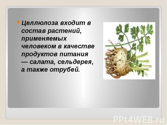 Целлюлоза входит в состав растений, применяемых человеком в качестве продуктов питания — салата, сельдерея, а также отрубей. Целлюлоза входит в состав растений, применяемых человеком в качестве продуктов питания — салата, сельдерея, а также отрубей.