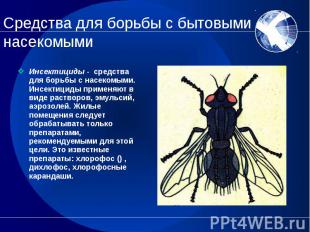 Инсектициды - средства для борьбы с насекомыми. Инсектициды применяют в виде рас