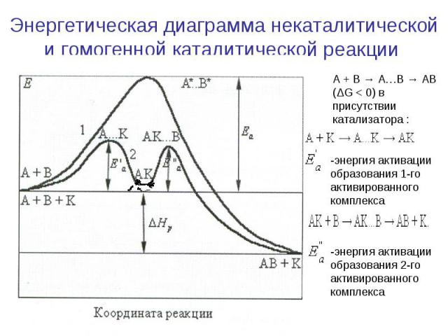 Энергетическая диаграмма некаталитической и гомогенной каталитической реакции