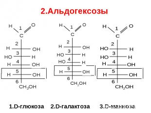 1.D-глюкоза 2.D-галактоза 3.D-манноза