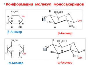 Конформации молекул моносахаридов Конформации молекул моносахаридов