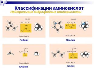 Классификации аминокислот
