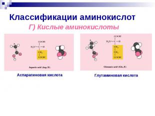Классификации аминокислот