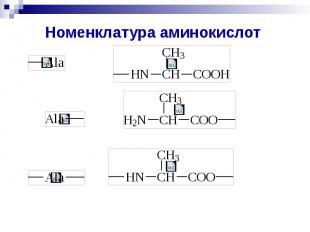 Номенклатура аминокислот