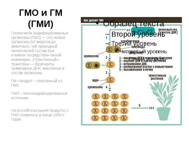 ГМО и ГМ (ГМИ) Генетически модифицированные организмы (ГМО) — это любые организмы (от вирусов до животных), чей природный генетический состав был изменен посредством генной инженерии. «Трансгенный», трансгены — фрагменты чужеродных ДНК, внесенных в …