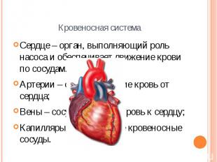 Кровеносная система Сердце – орган, выполняющий роль насоса и обеспечивает движе