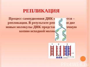 РЕПЛИКАЦИЯ Процесс самоудвоения ДНК называется – репликация. В результате реплик