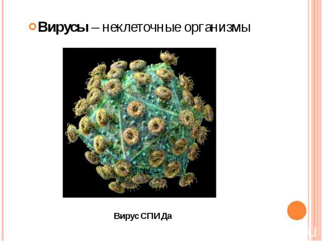 Вирусы – неклеточные организмы Вирусы – неклеточные организмы