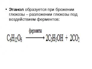 Этанол образуется при брожении глюкозы – разложении глюкозы под воздействием фер