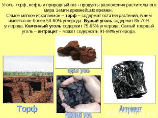 Уголь, торф, нефть и природный газ - продукты разложения растительного мира Земл