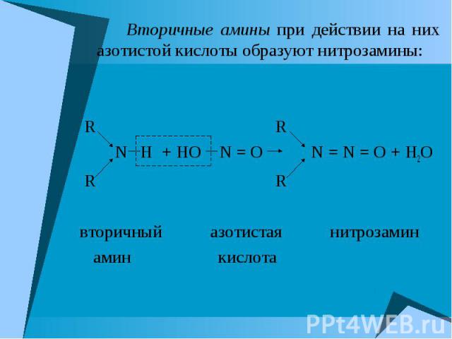 Вторичные амины при действии на них азотистой кислоты образуют нитрозамины: Вторичные амины при действии на них азотистой кислоты образуют нитрозамины: R R N H + HO N = О N = N = О + H2O R R вторичный азотистая нитрозамин амин кислота