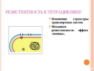 Изменение структуры транспортных систем. Изменение структуры транспортных систем