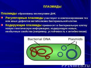 ПЛАЗМИДЫ Плазмиды образованы молекулами ДНК. Регуляторные плазмиды участвуют в к