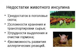 Недостатки животного инсулина 1)недостаток в поголовье скота; 2)сложности хранен