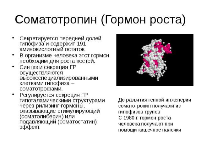 Соматотропин (Гормон роста) Секретируется передней долей гипофиза и содержит 191 аминокислотный остаток. В организме человека этот гормон необходим для роста костей. Синтез и секреция ГР осуществляются высокоспециализированными клетками гипофиза – с…