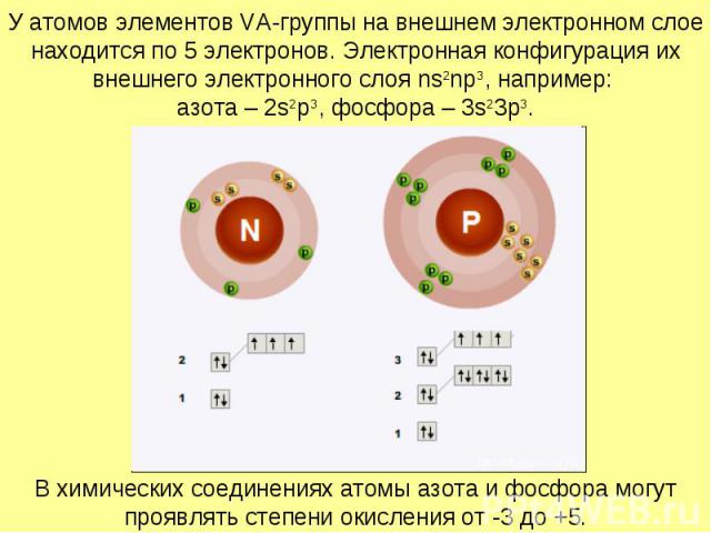 У атомов элементов VA-группы на внешнем электронном слое находится по 5 электронов. Электронная конфигурация их внешнего электронного слоя ns2np3, например: азота – 2s2p3, фосфора – 3s23p3.