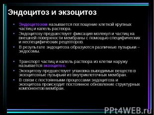 Эндоцитозом называется поглощение клеткой крупных частиц и капель раствора. Эндо