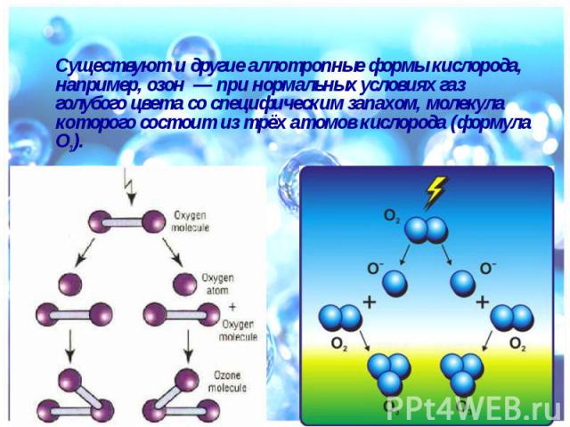 Существуют и другие аллотропные формы кислорода, например, озон  — при нормальных условиях газ голубого цвета со специфическим запахом, молекула которого состоит из трёх атомов кислорода (формула O3). Существуют и другие аллотропные формы кисло…