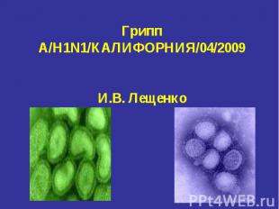 Грипп A/H1N1/КАЛИФОРНИЯ/04/2009 И.В. Лещенко