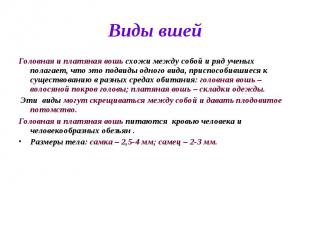 Виды вшей Головная и платяная вошь схожи между собой и ряд ученых полагает, что