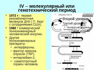 IV – молекулярный или генотехнический период 1972 г - первая рекомбинантная моле