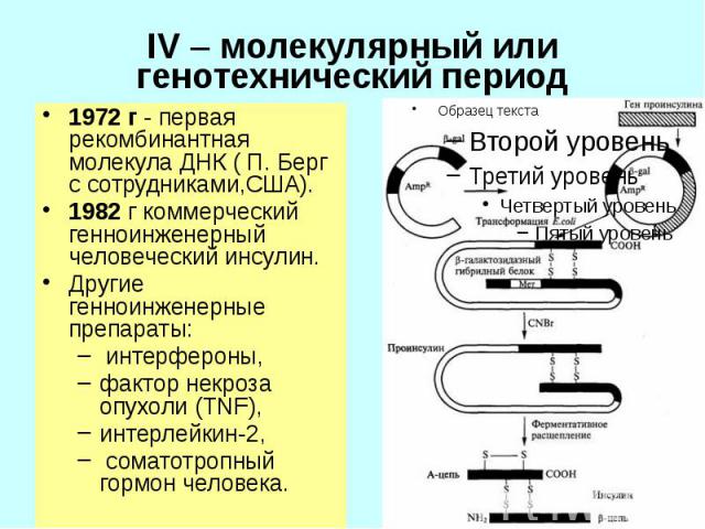IV – молекулярный или генотехнический период 1972 г - первая рекомбинантная молекула ДНК ( П. Берг с сотрудниками,США). 1982 г коммерческий генноинженерный человеческий инсулин. Другие генноинженерные препараты: интерфероны, фактор некроза опухоли (…