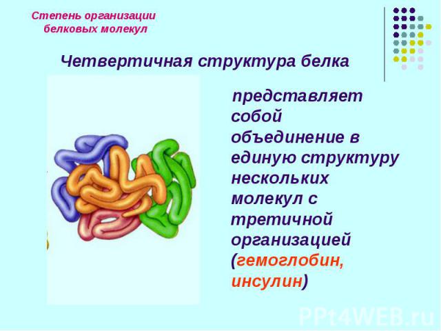 представляет собой объединение в единую структуру нескольких молекул с третичной организацией (гемоглобин, инсулин) представляет собой объединение в единую структуру нескольких молекул с третичной организацией (гемоглобин, инсулин)
