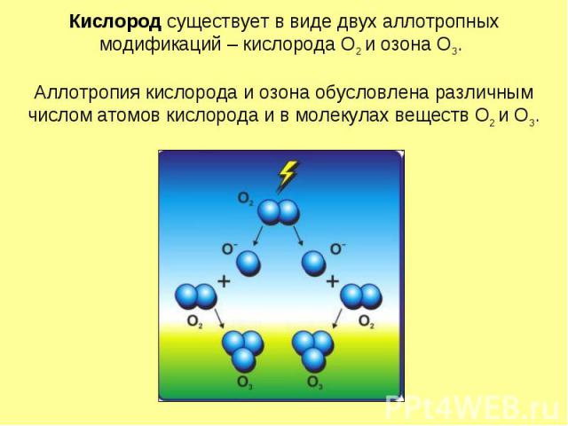 Кислород существует в виде двух аллотропных модификаций – кислорода О2 и озона О3. Аллотропия кислорода и озона обусловлена различным числом атомов кислорода и в молекулах веществ О2 и О3.