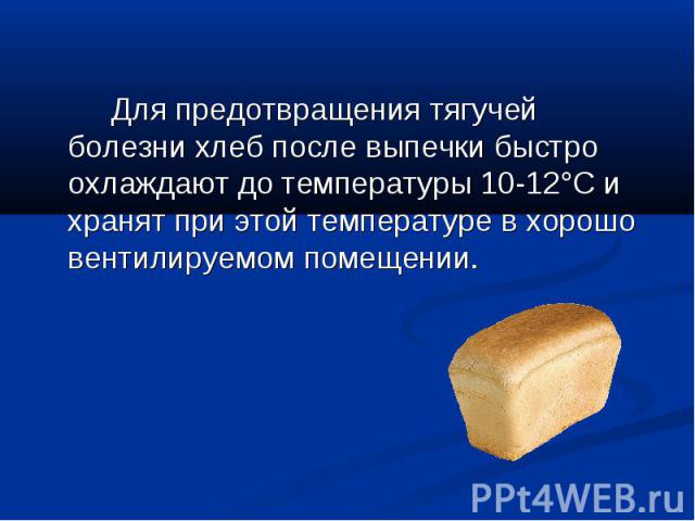 Для предотвращения тягучей болезни хлеб после выпечки быстро охлаждают до температуры 10-12°С и хранят при этой температуре в хорошо вентилируемом помещении. Для предотвращения тягучей болезни хлеб после выпечки быстро охлаждают до температуры 10-12…