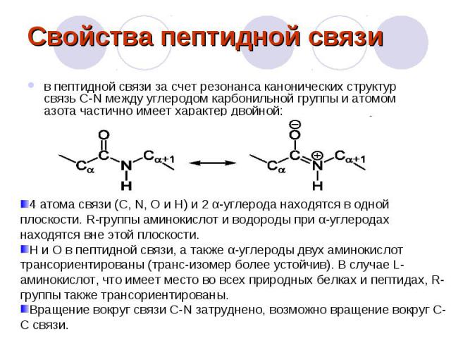 Свойства пептидной связи в пептидной связи за счет резонанса канонических структур связь C-N между углеродом карбонильной группы и атомом азота частично имеет характер двойной: